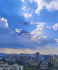 ��������ʱ�̣�30��ȷ����ٰ�ת�ƣ���ҩ���ҵĲ�������ת��