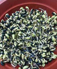 �Դ�ѧ�����ֶ�ѿ