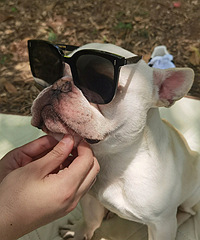 ���꽭������һ���޹�����