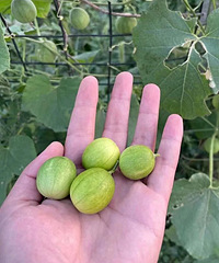 ��������������ʲô