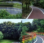 金海湾升级版骑行路线