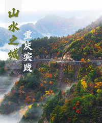 徒步党狂喜!重庆修建大巴山沉浸森林康养步道