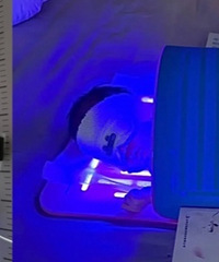 ���������������ݵ���������һ������