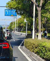 ��ô���������ת��ʽ��ÿ���ϰ�߷����������