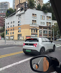 �糵�����ɱ��͵����ף�Ϊɶ�����������ͳ�