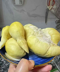 ���춼������������һ��78��Ŀ�ä�У�������ϲ