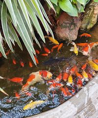 87170CMҵĸ飬йһֻڹ