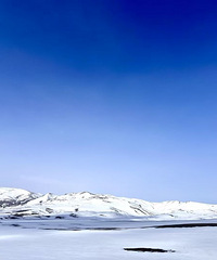 �����½���Ψһ������һ�仰���ǣ�ֽ�ϵ����վ�ǳ