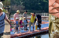 ������Ϻ�����컨1-2�쵽Զ��ũ������ʽ����