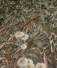 ���˵㵫�ǽ��껹������