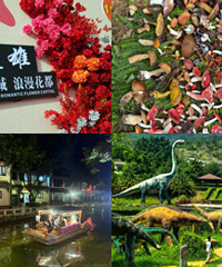 国庆自驾云南冷门小众旅行地—楚雄