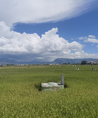 ԼһΣȫ120+˫ȡϲ޹