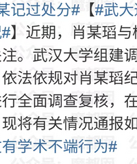武大诬告案最终通报!杨某媛不处理!