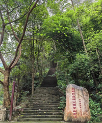 因平时游客稀少,设施老化,重庆这一森林公园撤销