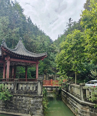 因游客稀少,重庆这一森林公园撤销