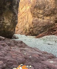 ����ظ�ԭ���̻�ը��һ��ɽ��ʼ����Ͳ̹�ǿ�������Ķ���