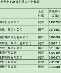 中国制造业企业500强重庆占9