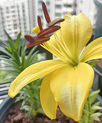 90겻̲ĸ飬ϣԷ8895