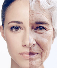 80ǣôԼϵḶ́󲿷ֶΪͷ