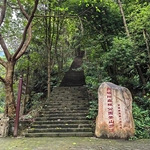 重庆一森林公园被撤销