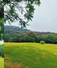 去照母山森林公园赏秋,发现了藏不住的秋日彩蛋