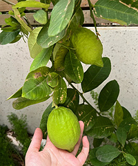 �Ҽҵ����ʳ��˺ö�Ӵ��