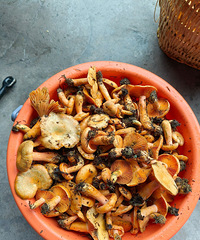 大家各抒起见,来说说结婚意义到底是什么吧?