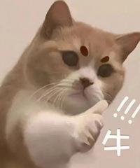 ���ڳ���ҹУѧ���˺öණ������ױ���ڲſΡ���