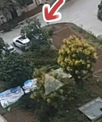 小区物业跑路,业主刨绿化带种地