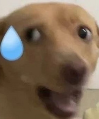 ���ں�������ͬѧ�ۻ��ˣ����Ƿ���û�У�