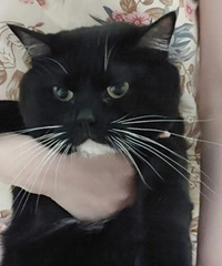 һ��˵һ�������б���û�еľ����ɣ�����о��׻���