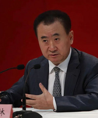王健林被限制高消费