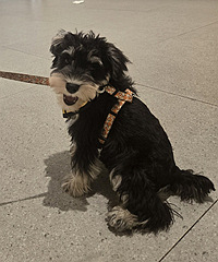 ������һ�ι�ֿ����ּ���