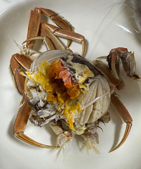 �̽��ĵ���з�������κ�Ҳ