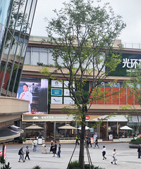 ��̽����������2��Ĺ�԰�⻷����