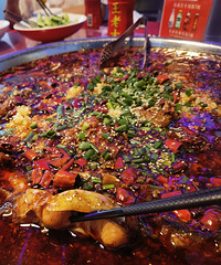 �������Լ��Ĳ�����������ԺȲ裬���齫