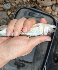 远离手机,感受大自然带来的快乐