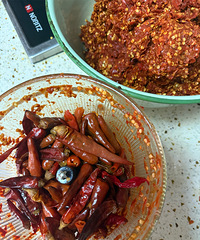 �Լ����Ķ��꽴��̫����