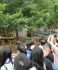 重庆动物园汹涌人潮!