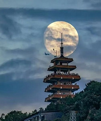 2025中秋赏月地图!重庆可以看