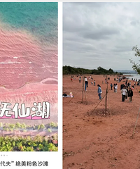 第一批抵达网红景点的游客已被诈骗
