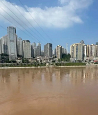 今年嘉陵江涨水挺壮观的