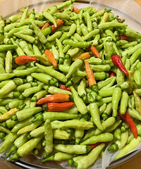 �ֵ�������֥�飬�����ջ��������������Ұɽ���ķ���