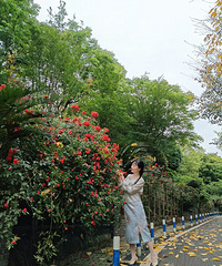 90年162CM药品行业的妹子征婚,有2套房