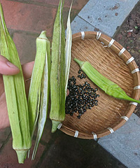 �����������Ϊ������׼��