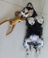 ��˵������15����ʵ��8��