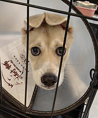 ��ô������ô��Ц��С����