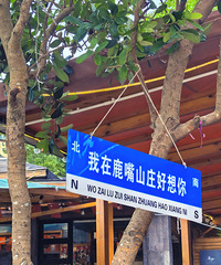 深圳CityWalk奔赴一场山海与自由