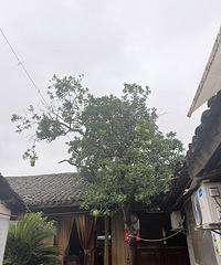 ���������ϼң�����Ҳ������