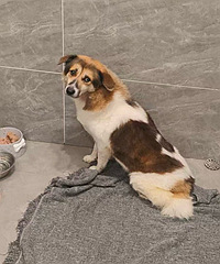 ѧУ�ſ�һ�����˹��Ҹ���